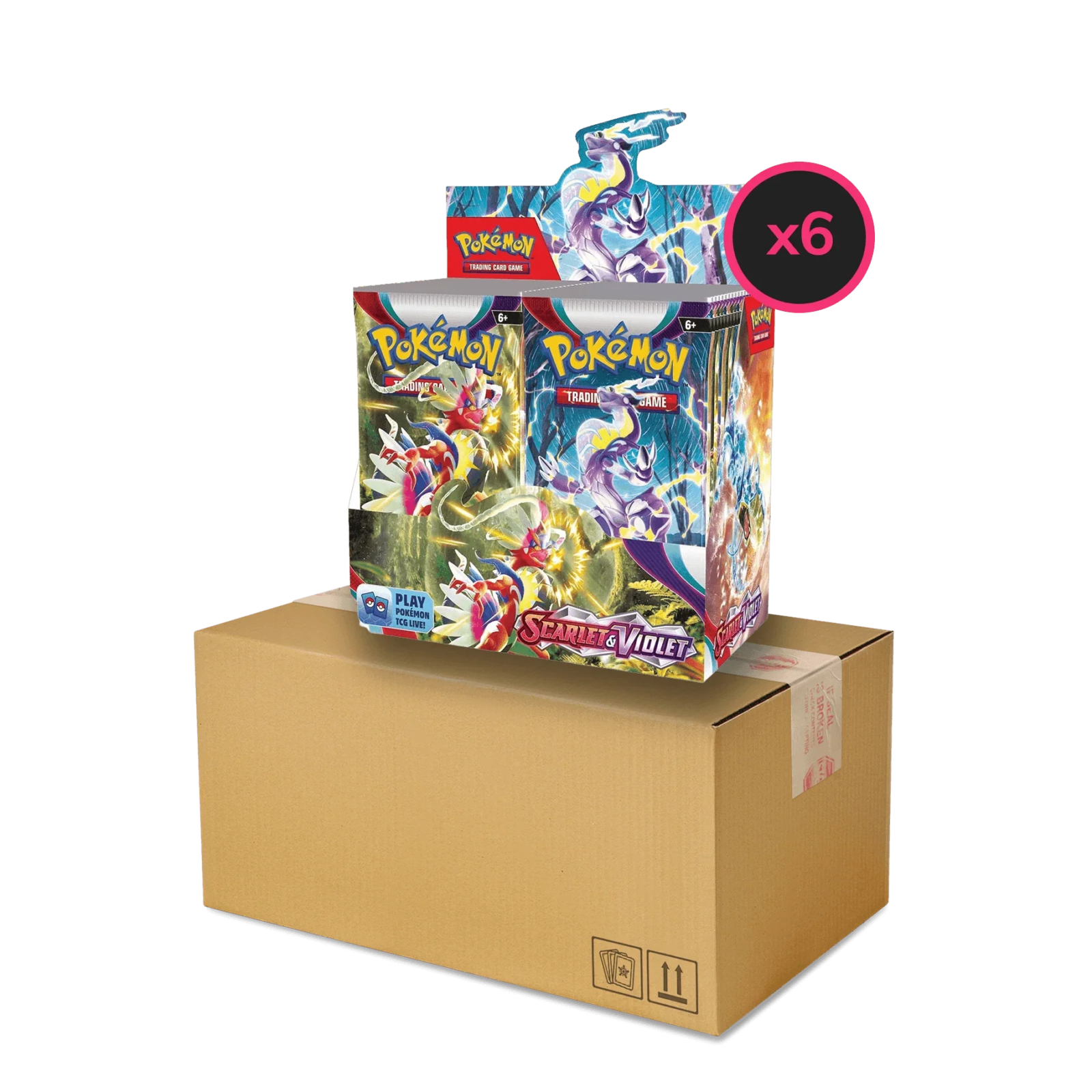 Pokemon TCG - Scarlet & Violet - Base Set - Display Case (6x Booster Boxes)