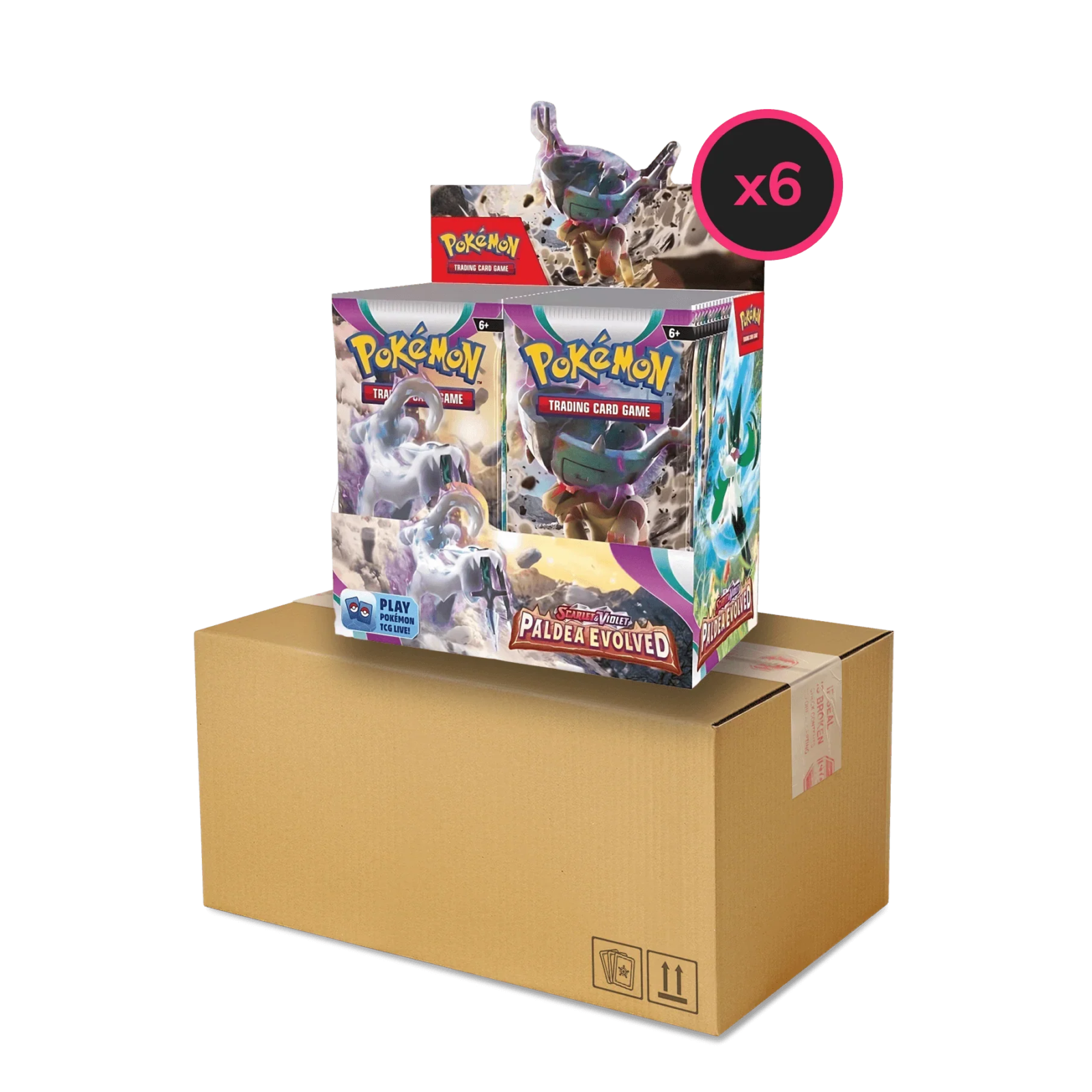 Pokemon TCG - Scarlet & Violet - Paldea Evolved Display Case (6x Booster Boxes)